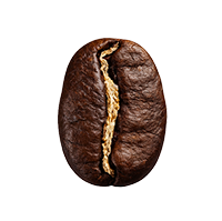 Tried, true, and loved by             thousands. Our best sellers are             easy to enjoy,  no matter how             you take your coffee.